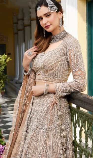 Bridal Lehenga Choli