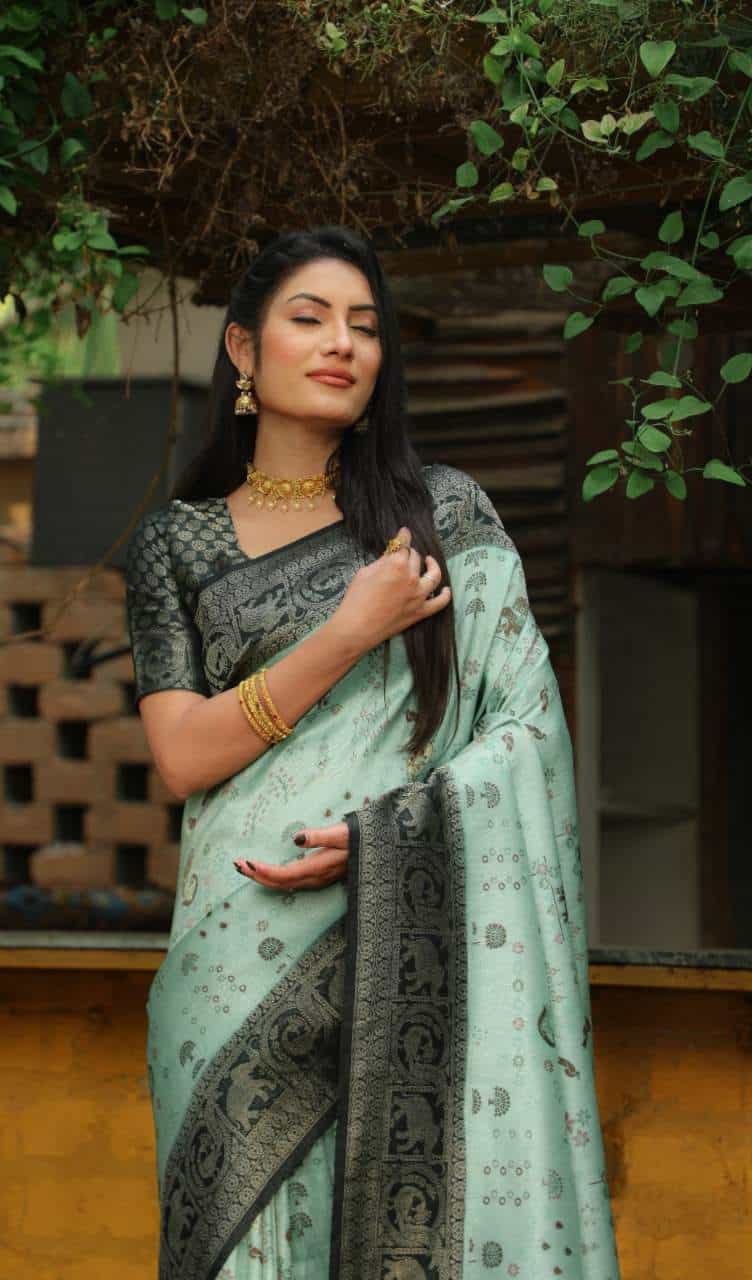 Kanjivaram Soft Silk Saree