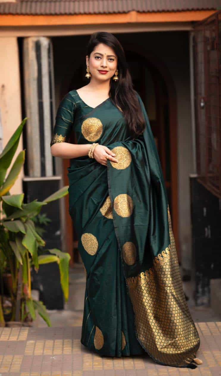  Paithani Silk Saree