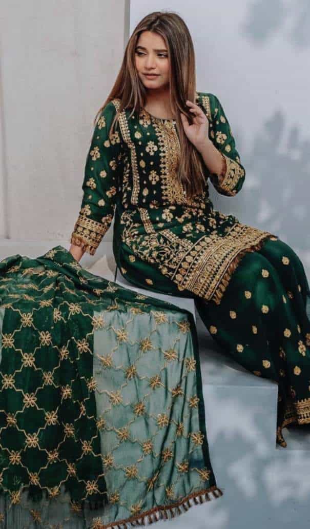 georgette ethnic outfit